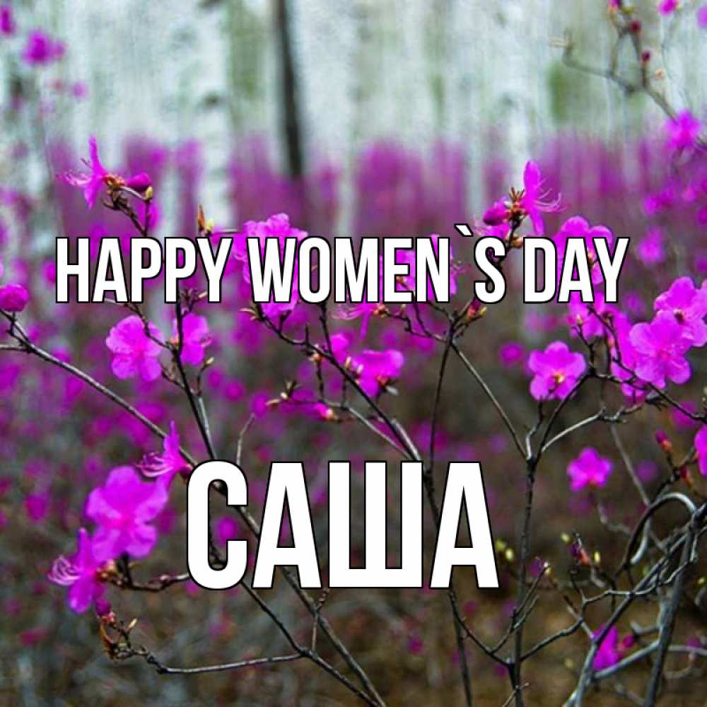 Greetings card с именем, Саша happy women`s day дикие цветы Greetings with text for free download 